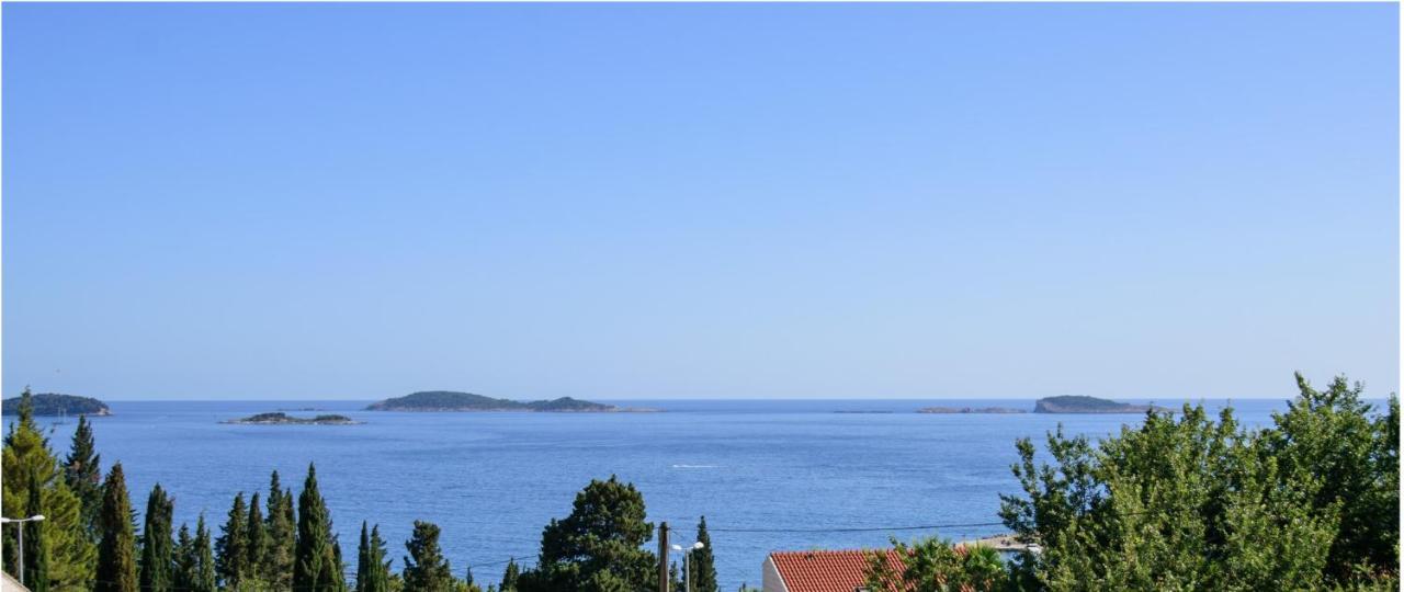 Aurora Seaview Apartment *