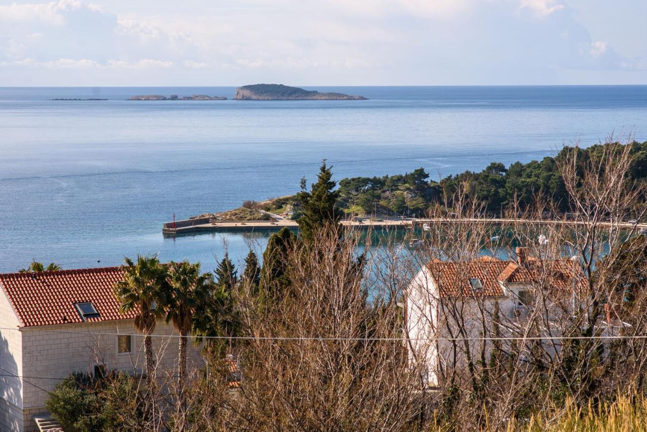 Aurora Seaview